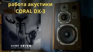 Работа акустики Coral DX-3 музыка Sivert Høyem