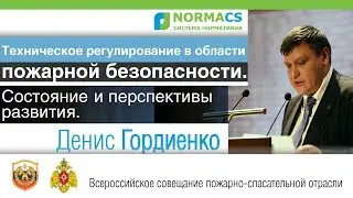 1. NormaCS. Эксперты о нормативах. Техрегулирование в области пожарной безопасности