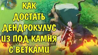 Как достать Дендрокулус из под камня с ветками / How to get Dendroculus from under a stone Genshin
