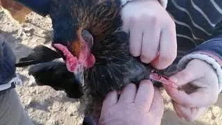 Видео 2.