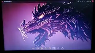 Garuda Linux Installation - How to Install