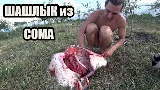 ВАС БУДУТ УМОЛЯТЬ ПРИГОТОВИТЬ ЕЩЁ 👍 ШАШЛЫК ИЗ СОМА 🐟 Разделка рыбы