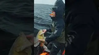 ЧТО ТАКОЕ СЛАГ???