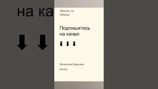 Фразы на жизнь в 2023 году | Слепая погоня | Вячеслав Орешкин #мысли #мотивациянауспех  #жизнь