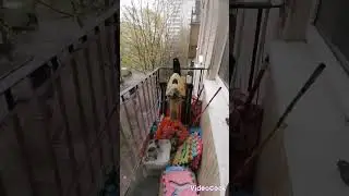 СТИХИЙНОЕ БЕДСТВИЕ В САНКТ-ПЕТЕРБУРГЕ#7 МАЯ 2024