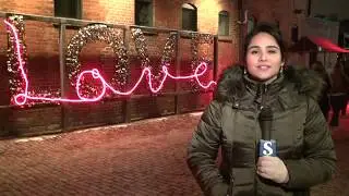 What the Toronto Lights festival looked like !