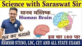 मानव मस्तिष्क | Structure of Brain | Function of Brain | Cerebrum | Thalamus | Hypothalamus