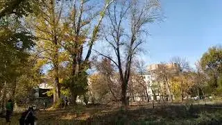 На улице Гагарина "Поско" спилила деревья и уничтожила  детскую площадку