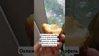 Печёный картофель при диабете