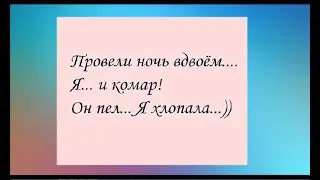 Провели НОЧЬ вдвоём.... Я ... и комар! Он пел... Я хлопала!. Женский юмор на каждый день.