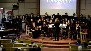 Willowdale Orchestra - 06 - Child of Peace