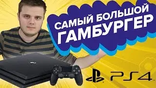 Няшка прошка (Sony PlayStation 4 Pro)