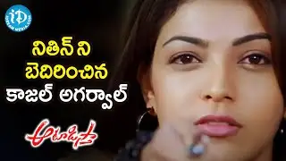 Kajal Aggarwal Threatens Nithiin | Aatadista Movie Scenes | Naga Babu | Venu Madhav | iDream Movies