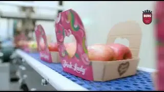 Линия мойки, упаковки яблок в картонную упаковку и паллетирования коробок