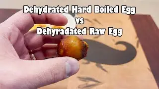 Dehydrated Hard Boiled Egg vs Dehydrated Raw Egg