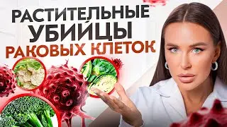 БРОККОЛИ останавливает РАКОВЫЕ клетки? Поразительная правда о растительных онкопротекторах