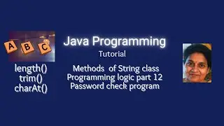 Lesson 61   Strings -  Part 3 - Password Validity Check Program -  Programming Logic Part -12