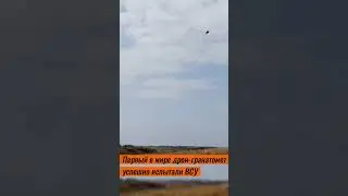 Первый в мире дрон-гранатомет успешно испытали Силы обороны
