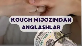 KOUCH КОУЧ Дарси дан натижа.