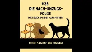 #36 Die Nach Umzugs Folge - Die Rückkehr der Haar-Ritter