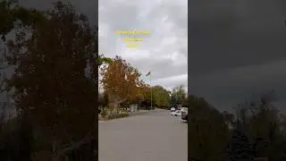 Золотая осень Одессы 2024 