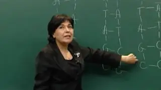 დნმ-ის რეპლიკაცია