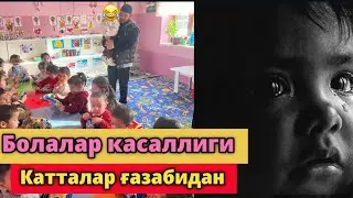 Балалар касаллиги- катталар ғазабидан