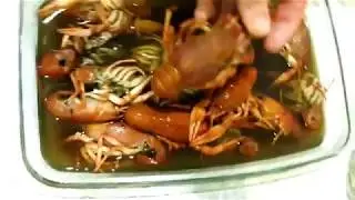 Раки. Как варить раков вкусно и правильно. Все секреты!