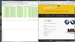 28 Differece Between HTTP and HTTPS Traffic Wireshark