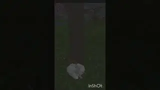 когда заметит весна🌸🌸🌸🌸🌸🌸