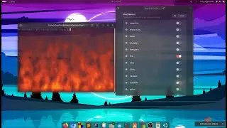 Cool Effect Opening and Closing The Application Window