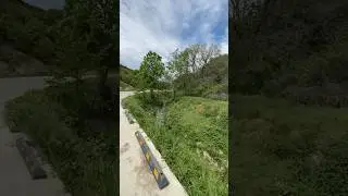 Насладись пением птиц