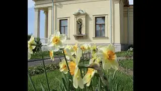 Прогулка вокруг Ольгиного пруда. Часть 6.