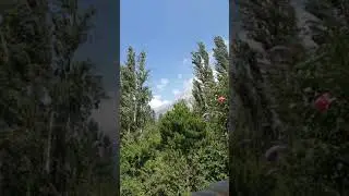 Bozdoğan Türküsü  | Akçatekir