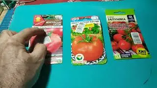 Семена томатов для ленивых садоводов! Отличный результат! 