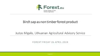 FOREXT Friday: Birch sap as a non timber forest product