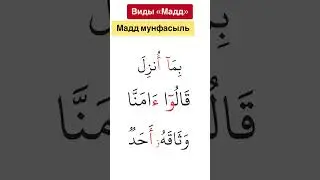 Мадд мунфасыль