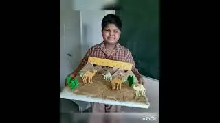 SCIENCE-O-MANIA 2022 ।  AMRITA VIDYALAYAM KOLKATA  #science