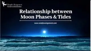 🌑 The Science of Moon Phases & Tides | How the Moon Affects Our Oceans 🌊