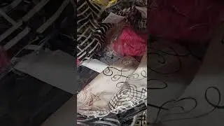 шелка в Чижике #чижикнесветофор #продуктывчижике #чижик