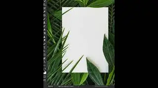 How to place an image in Photoshop - Tutorial ! 