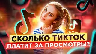 Сколько платит ТикТок за просмотры? TikTok Монетизация. Как зарабатывать в тик ток?