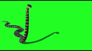 Snake 30 || Green Screen Videos
