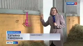 Злынский конезавод на телеканале Россия 1