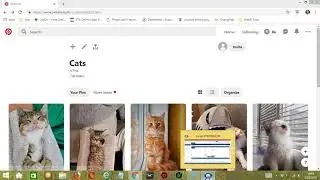 How To Auto Edit Pin On Pinterest Using Socinator