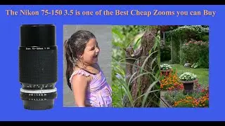 The Nikon 75-150 3.5 is one of the Best Cheap Zooms you can Buy