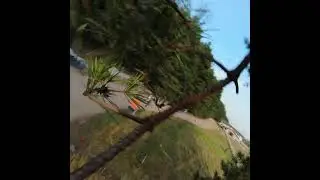 Падение DJI FPV - встреча с деревом