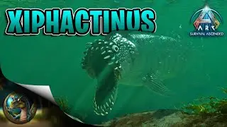ARK Ascended Xiphactinus Taming & Abilities