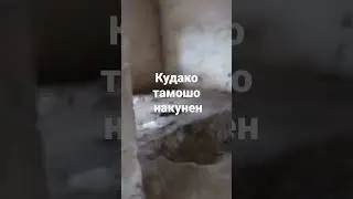 Ходиса тв 2022😱ШАРМАНДА💔дар хонаи ВАЙРОНА чо кадестан