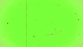 Video Dust Overlay - Green Screen [FREE USE]